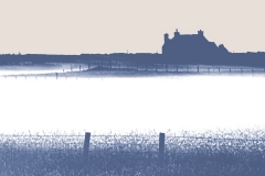 Blue fog