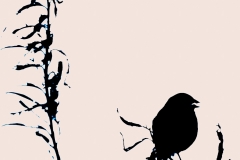 Blue bunting