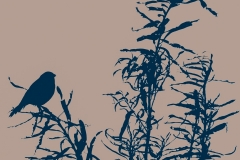 Blue bird