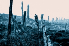 Blue border