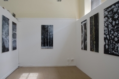 elginlast-1