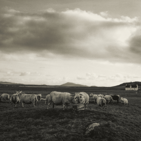 Eabhal 64