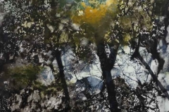 trees-5