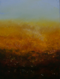 Machair II
