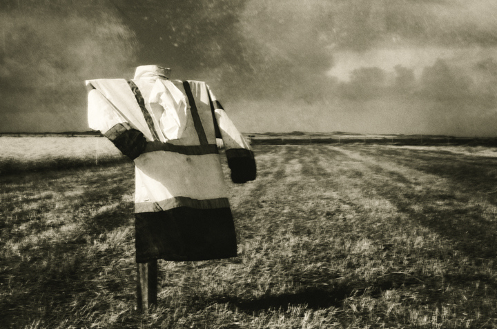 Scarecrow 9