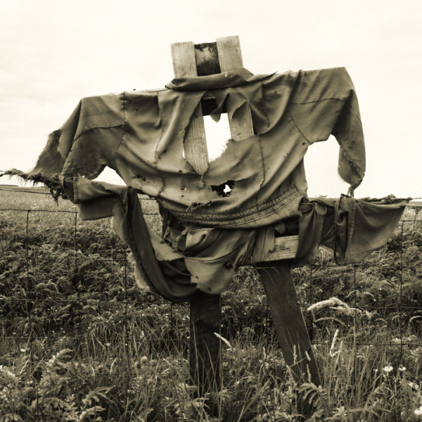 Scarecrow 10