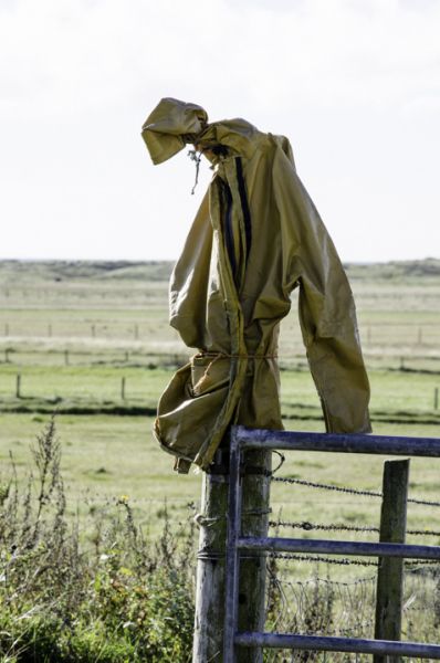 Scarecrow 6