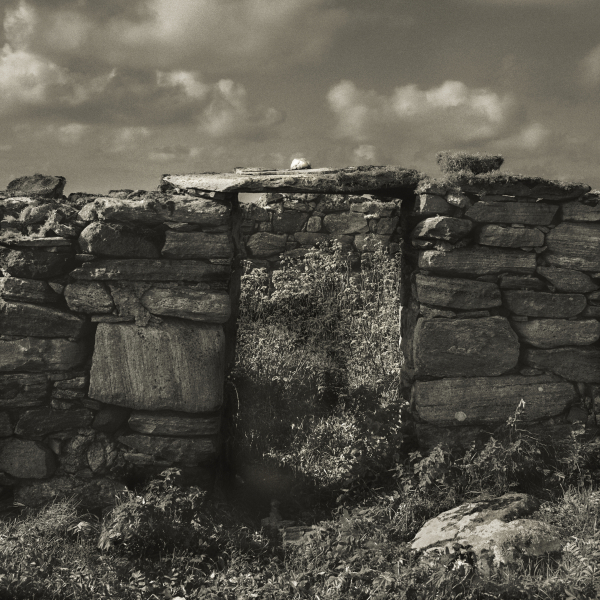 Wall Story 7