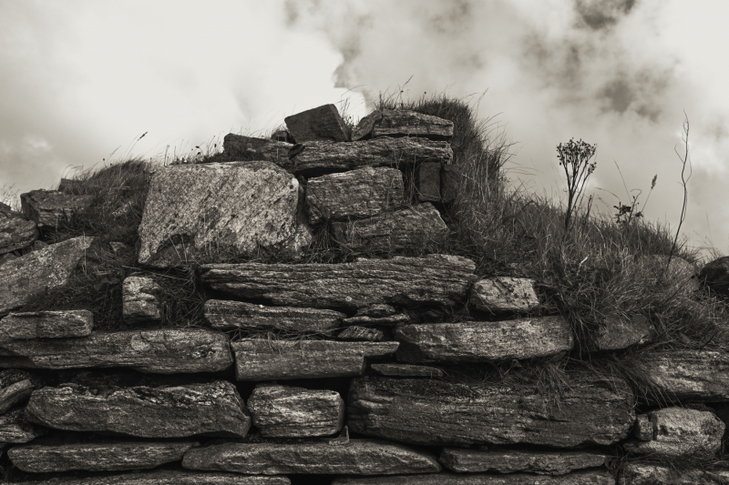 Wall Story 11