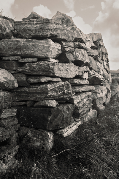Wall Story 14