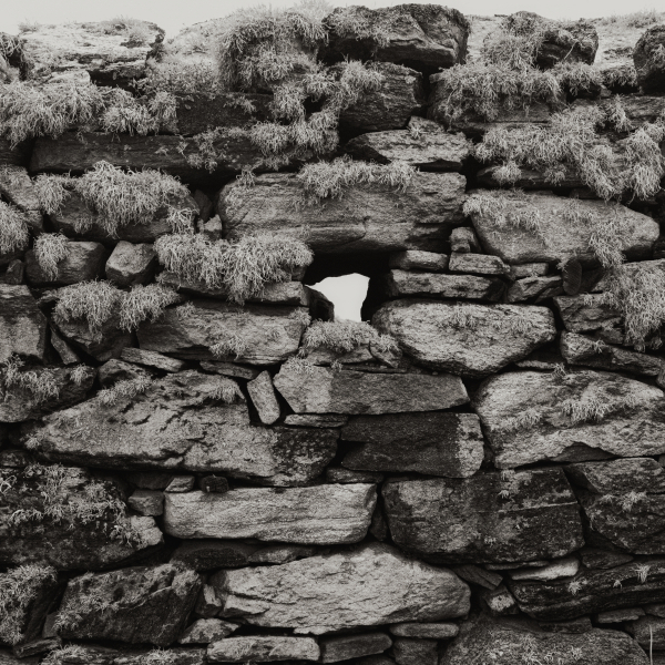 Wall Story 10