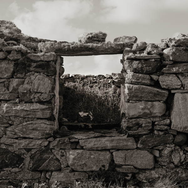 Window 2