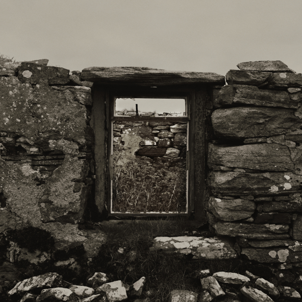 Window 4