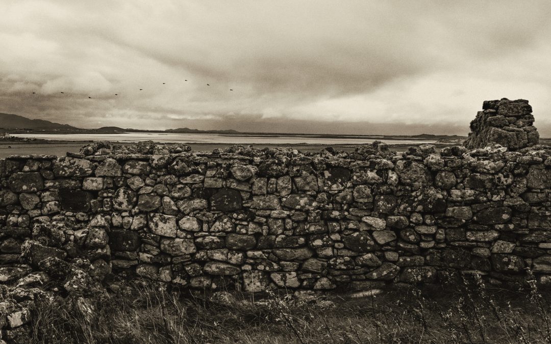 Wall Stories