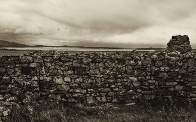 Wall Stories