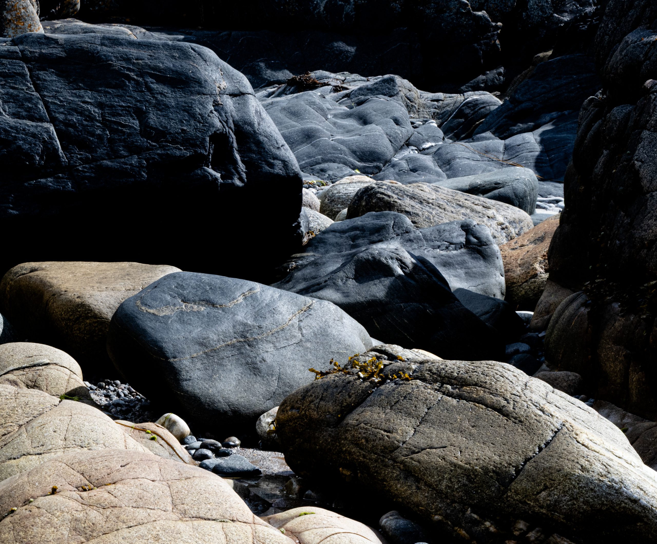 Beachlight 4