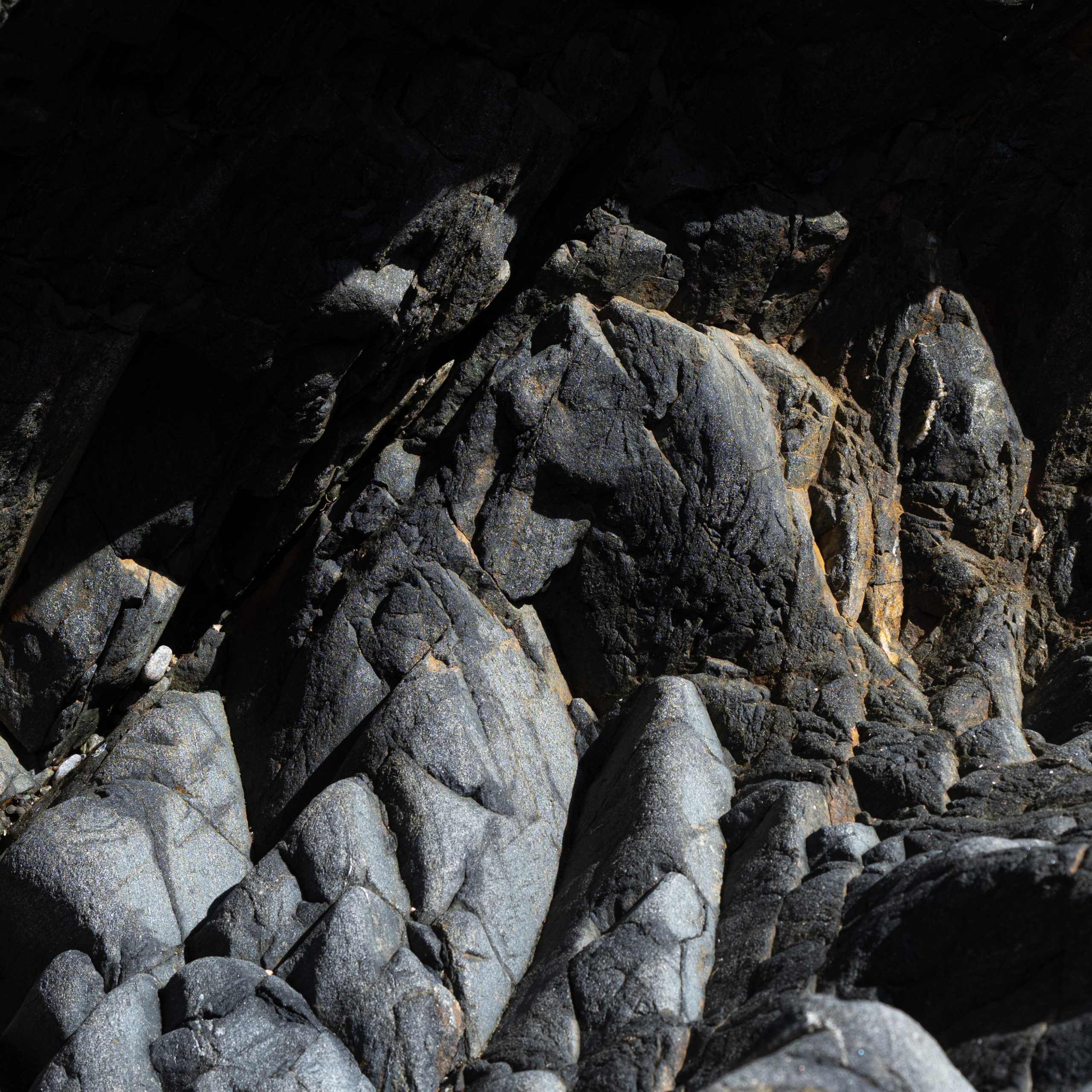 Beachlight 1